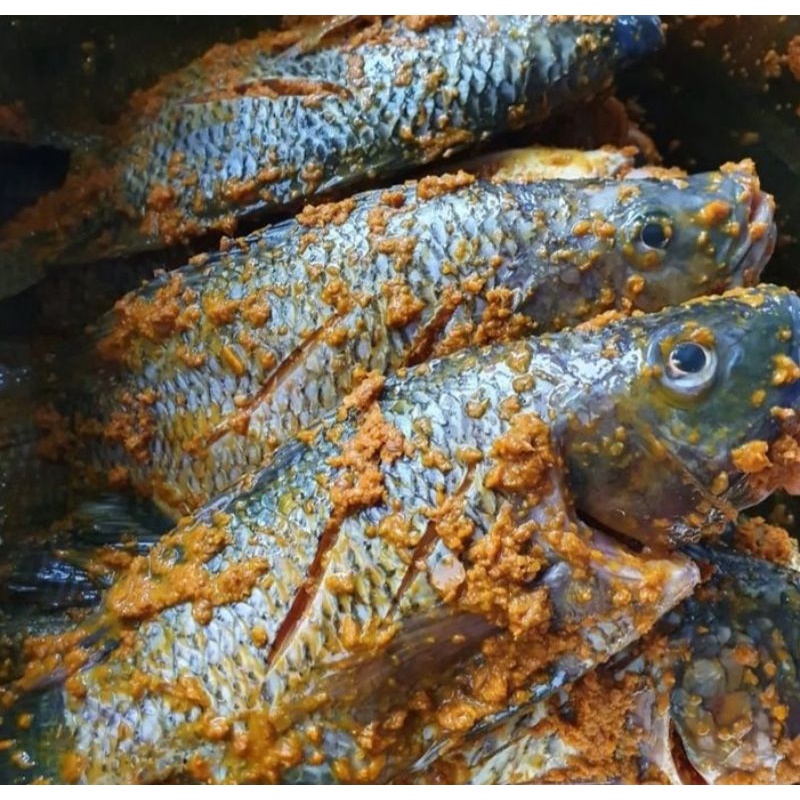 Grosir Ikan Bumbu Kuning Marinasi Siap Masak