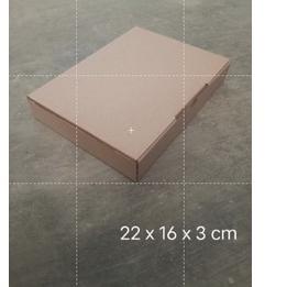 

DNL846 (10pcs) kardus 22 x 16 x 3 cm --Diecut dan easy usage— <>