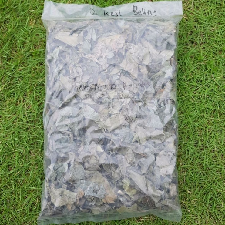 

Keji Beling Kering 1 Kg Geji Pecah