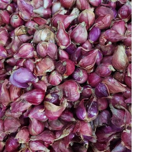 

YYY❋ BAWANG MERAH BREBES UKURAN SEDANG 1KG SEGERA BELI
