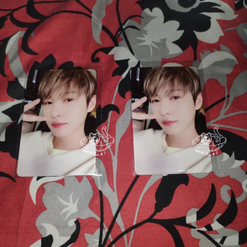 Jual Photocard Nct Dream Renjun Ngantuk Id Card Universe Selca Ver Official Shopee Indonesia