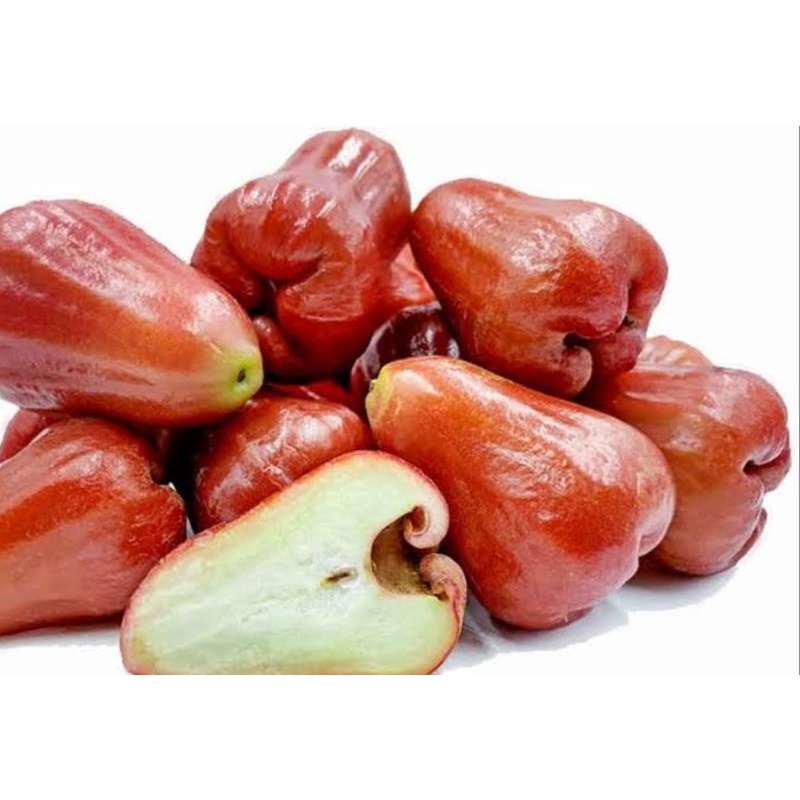 

JAMBU CITRA SEGAR MANIS GRADE A UKURAN JUMBO HARGA PER KILO