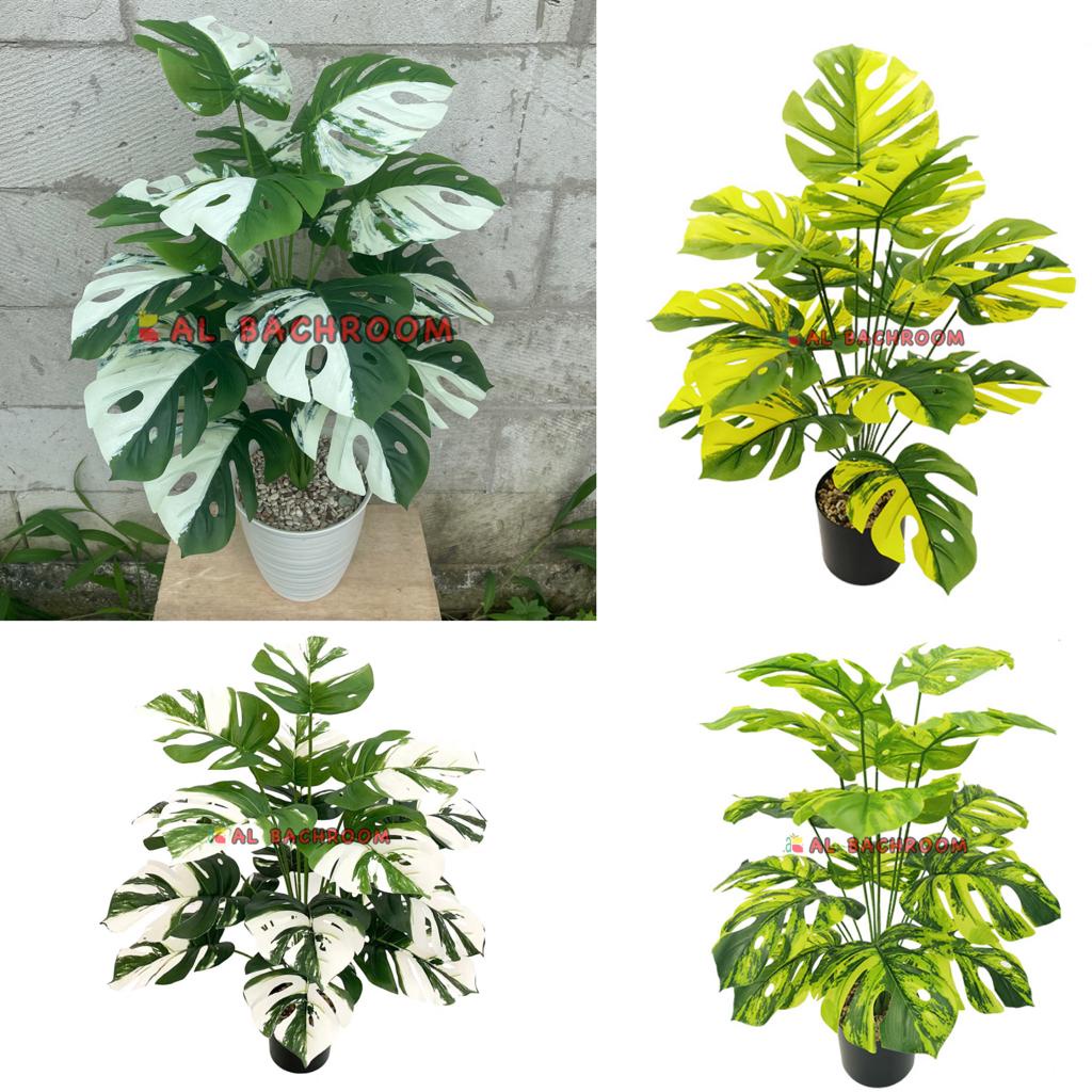 TANAMAN PLASTIK DAUN MONSTERA VARIEGATA B8187 D18 DAN D12 BUNGA ARTIFICIAL HIASAN RUMAH CAFE