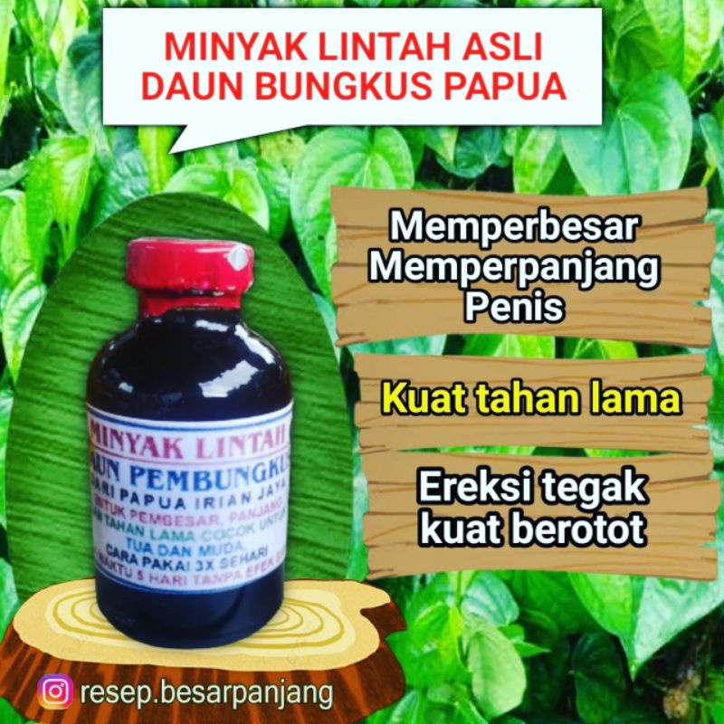Minyak Lintah Daun Bungkus Papua Original