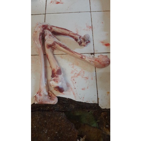 

Tulang Sumsum Kambing 1 KG