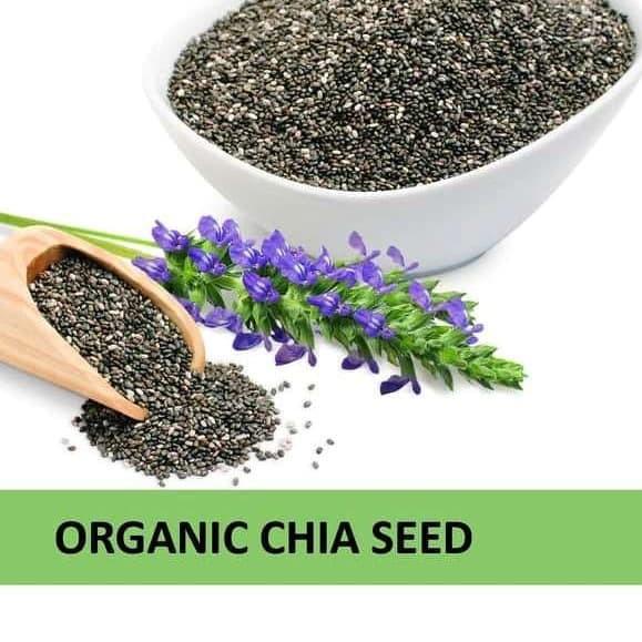 

Promo [KP8] Organic Black Chia Seed 500gr 500 Gr Gram Mpasi Chia Seed