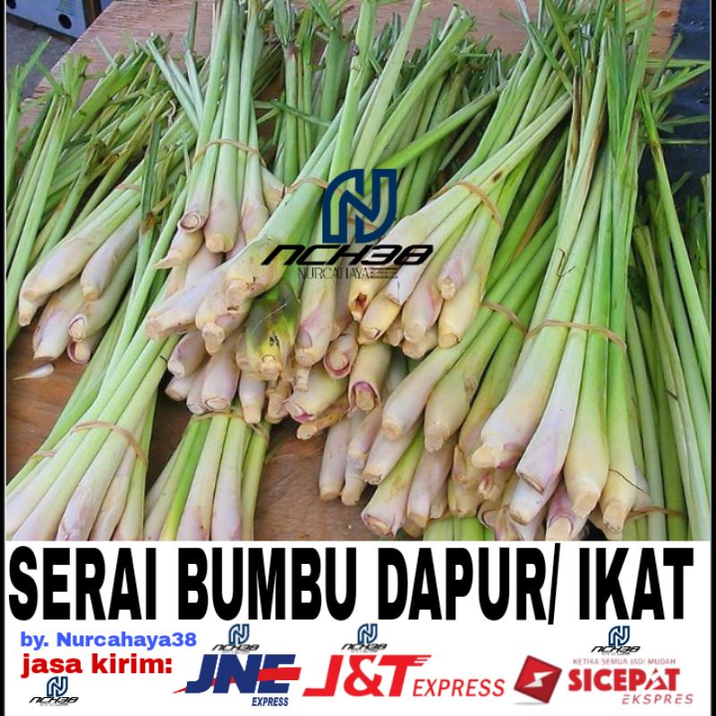 

Serai Bumbu Dapur | / 1 Ikat
