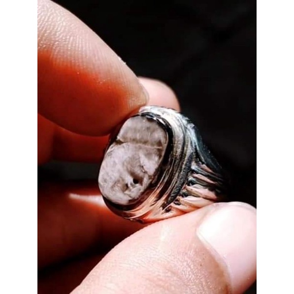 Bulu Macan Lumajang Basaltic Tiger Glass A379