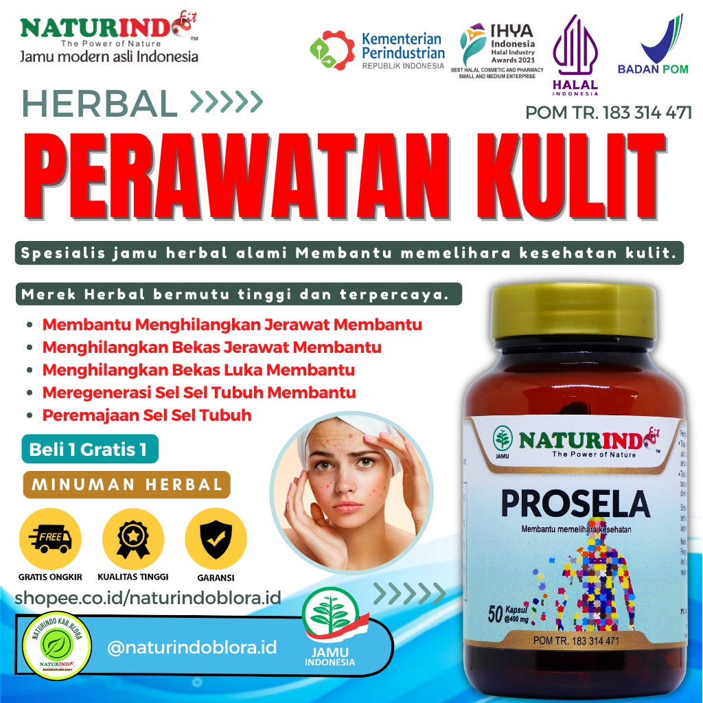 Obat Jerawat Paling Ampuh Penghilang Jerawat dan Bekas Jerawat Batu Bopeng Prosela Jerawat Paling Am