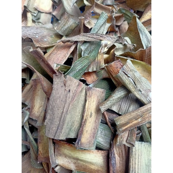 

JUAL DAUN BAKUNG KERING DIJEMUR DIBAWAH TERIK MATAHARI LANGSUNG BAKUNG OLAHAN KERING