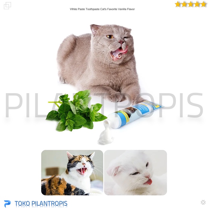 SIKAT GIGI KUCING DAN ODOL PASTA GIGI KUCING SATU SET CAT DENTAL GEL TOOTHBRUSH