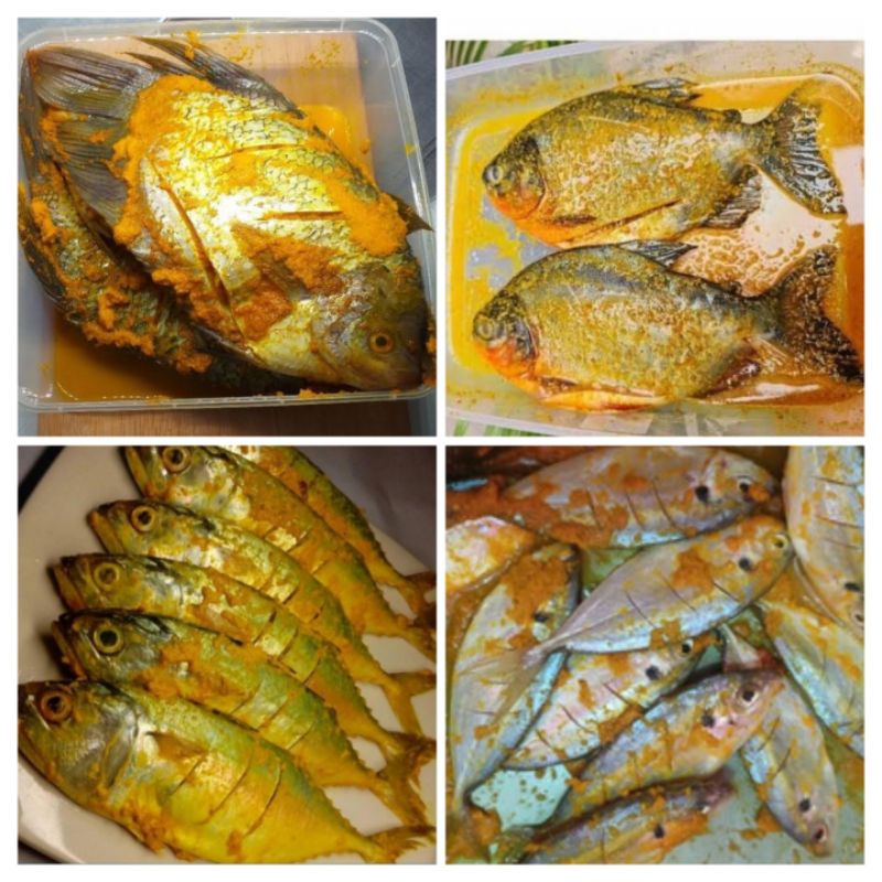 

ikan Gurame, Bawal, Kembung, Selar Bumbu Kuning 500 gram