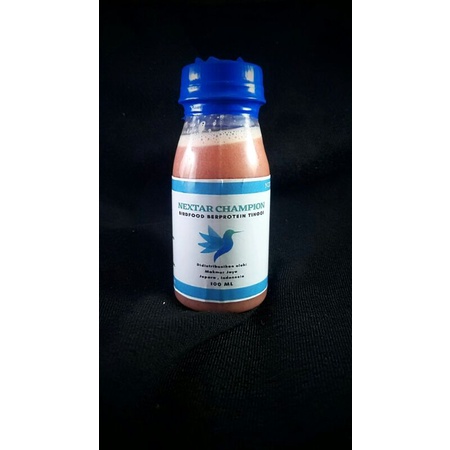 nectar champion nextar champion pakan konin konin