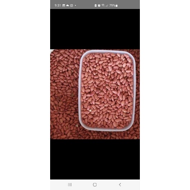 

KACANG MERAH KERING 1KL
