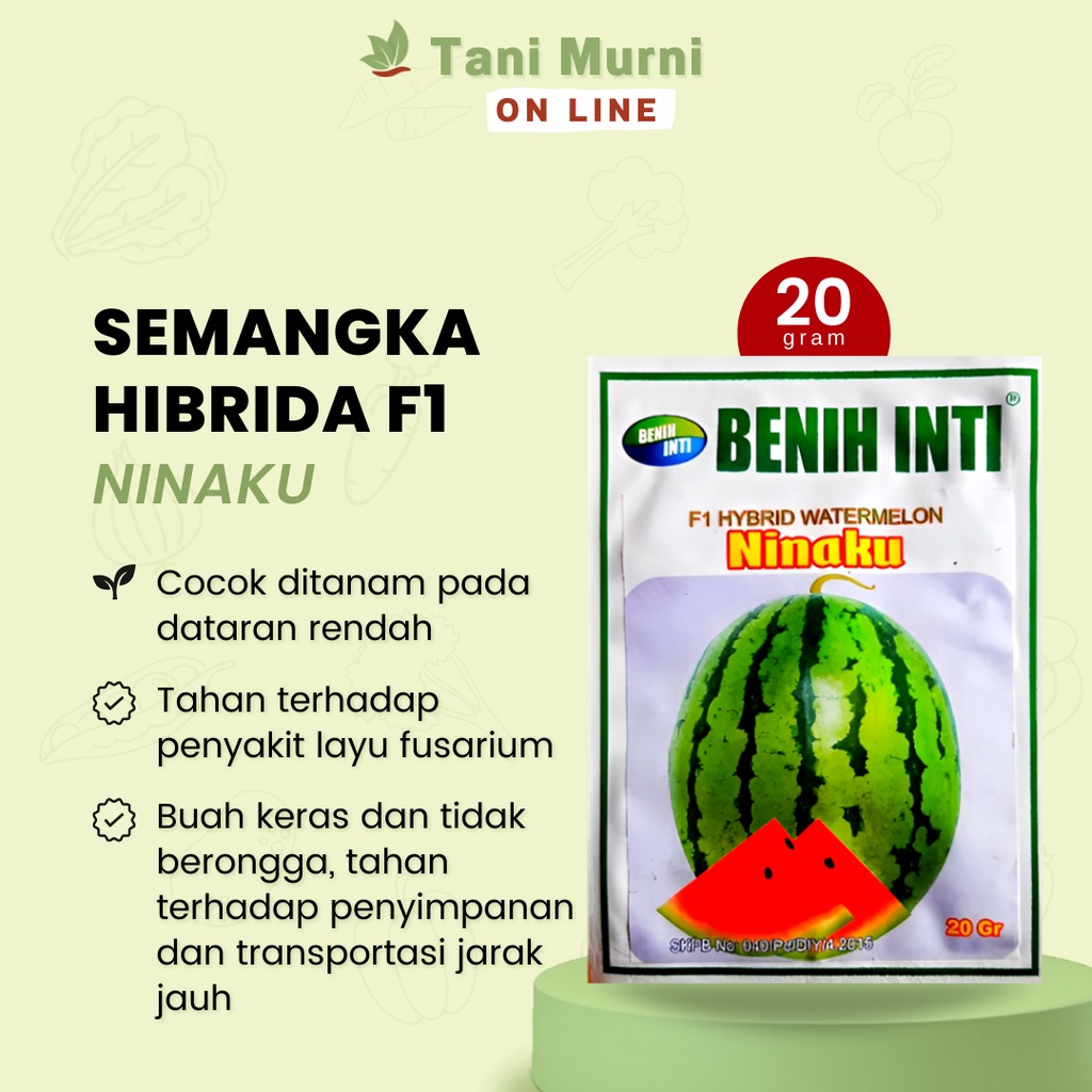 Benih Semangka Hybrida Ninaku F1 Buah Semangka Lorek Kemasan 20 Gram