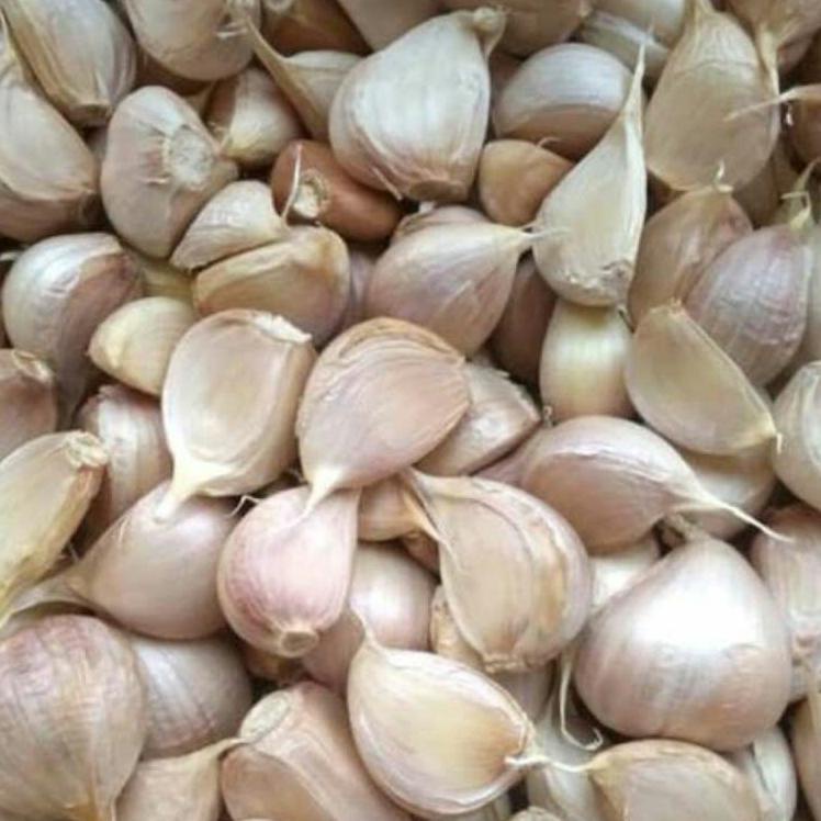 

9.9 BRANDS FESTIVAL Bawang Putih Kating /KG