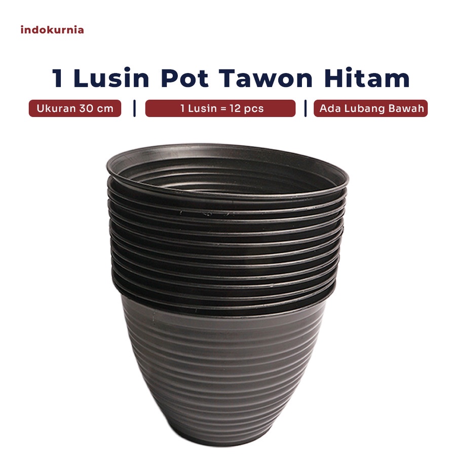 IK - 12PCS POT TAWON PUTIH POT TANAMAN PIRUS TAWON MADU HITAM 30 CM