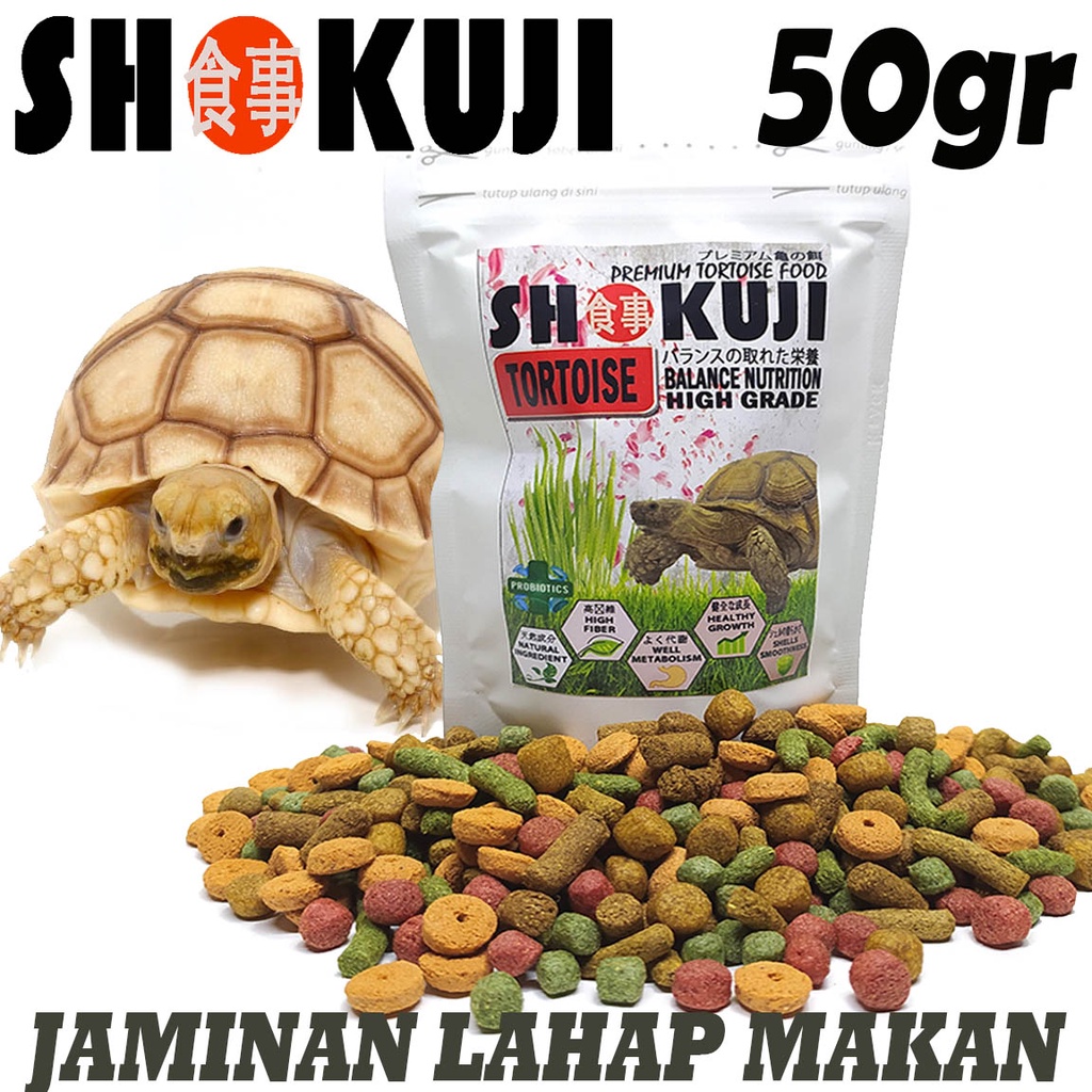 50GR SHOKUJI MAKANAN SULKATA PARDALIS CHERRYHEAD PAKAN SULCATA INDIAN STAR ALDABRA PELET KURA KURA D