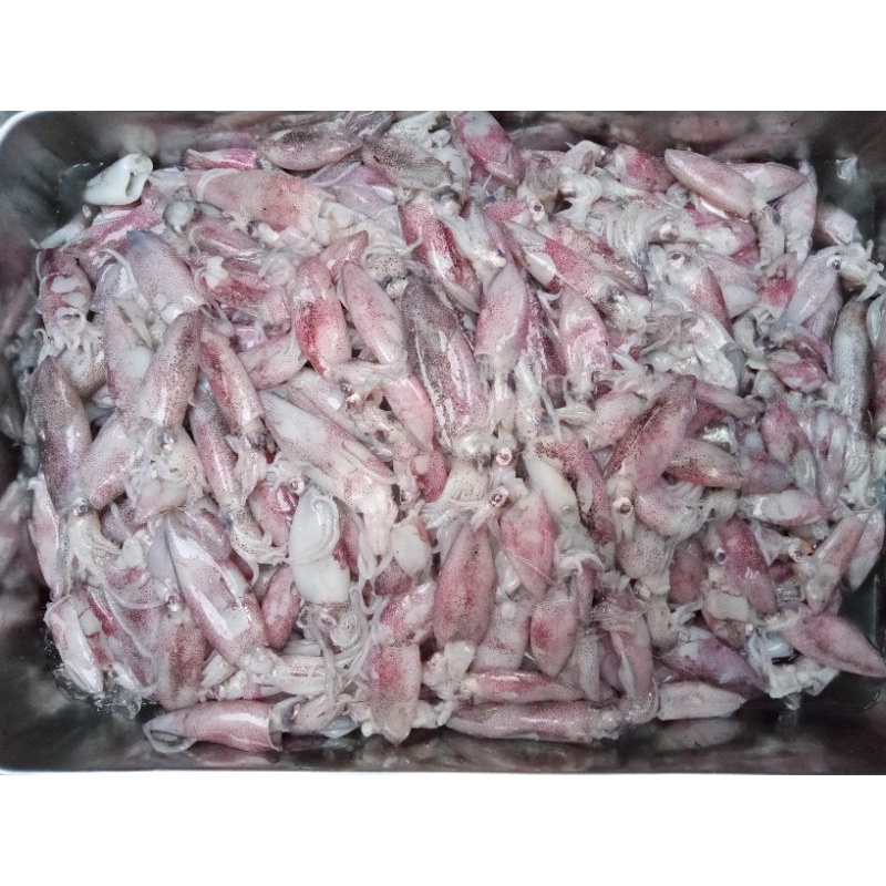 

cumicumi