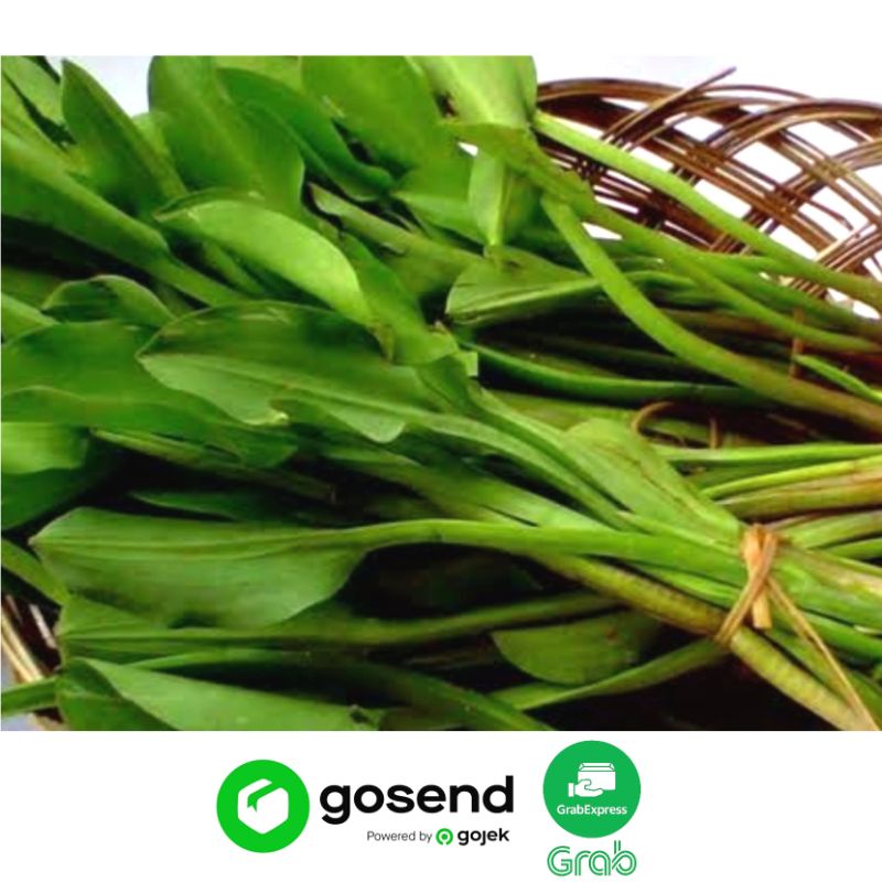 

Sayur Genjer Daun / Bunga