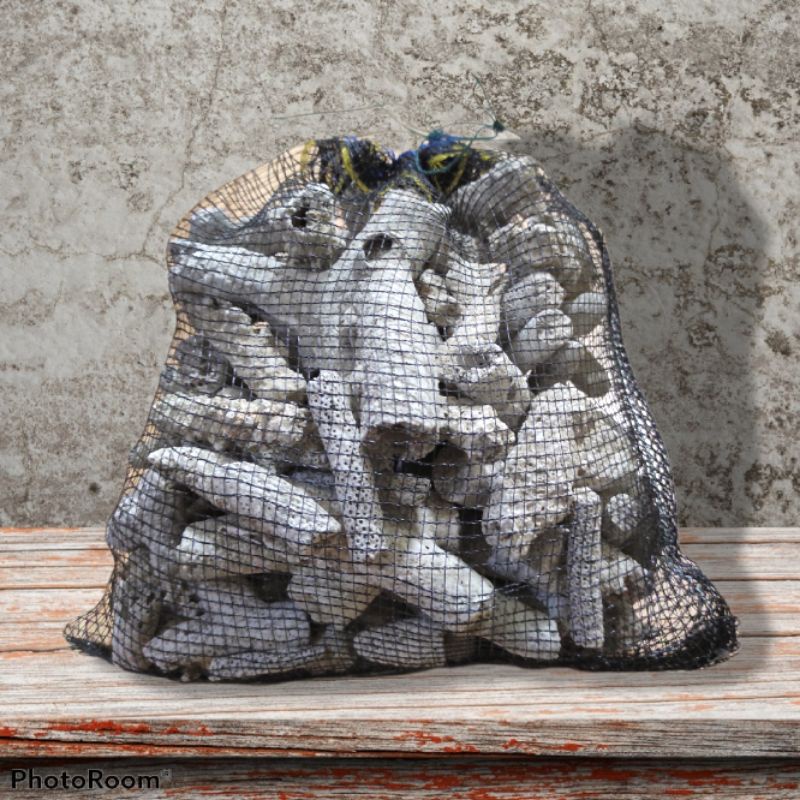 Batu karang jahe plus waring 25cmX25cm media filter kolam aquarium 2kg