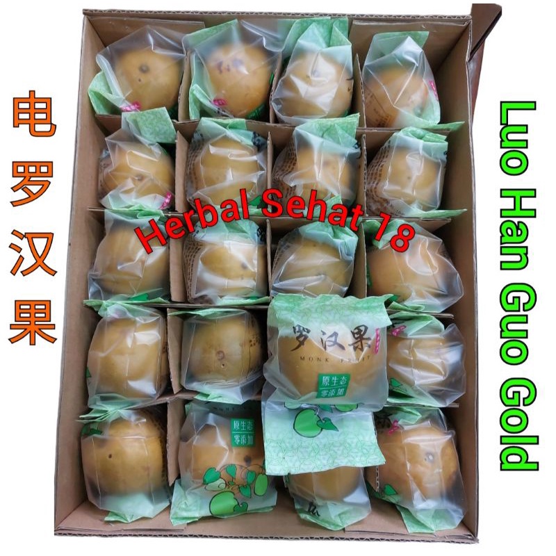 

(1Box Isi 20 Buah) Buah Lohanko Gold / Golden /Emas / Kuning / Lo Han Ko / Lo Han Kuo / Lo Han Guo / Luo Han Guo / Lohankuo Lohanguo / Luohanko Grade A 电羅漢果 Premium