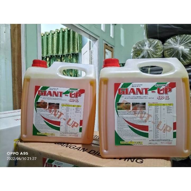 Jual Giant Up Herbisida 480sl Glifosat 5 Liter Sistemik Gulma Mati