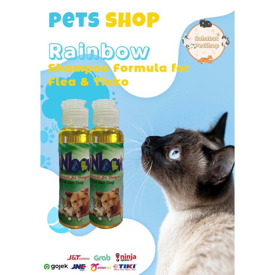 Rainbow shampoo best formula for tungus 100ml