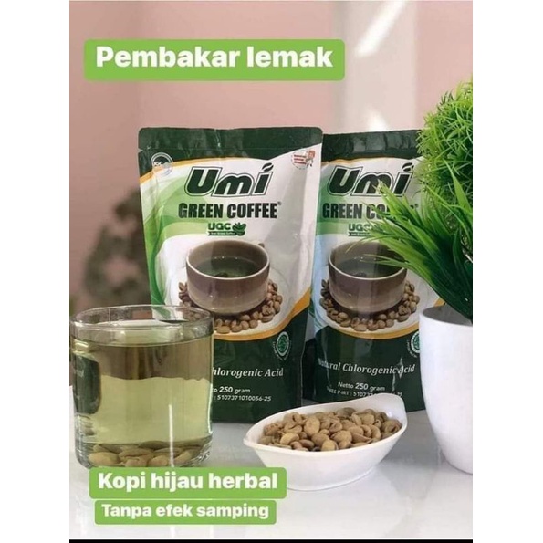 

UMI GREEN COFFEE ORIGINAL