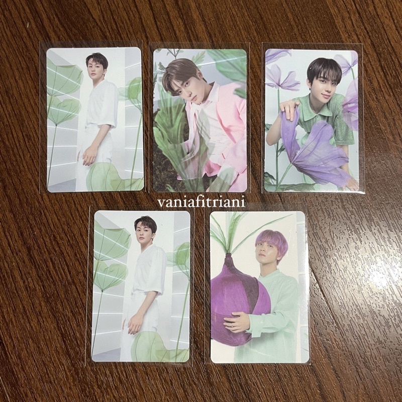 NCT NATURE REPUBLIC PC PHOTOCARD HERBOLOGY