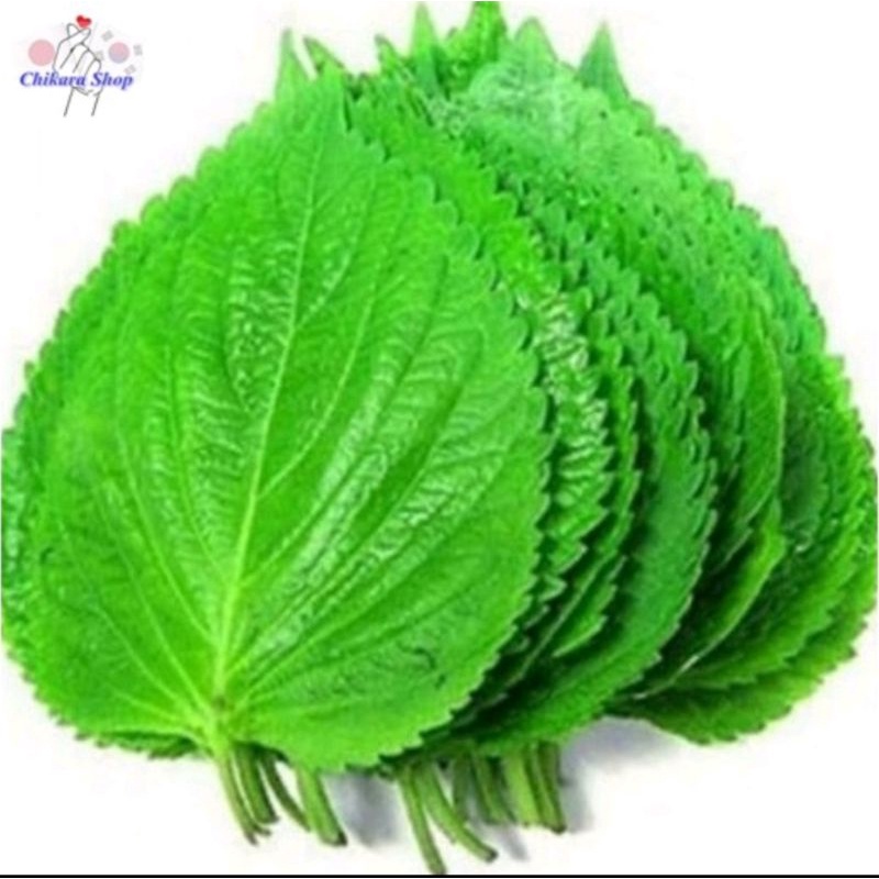 

Perilla Leaf / Daun Wijen 100 gram