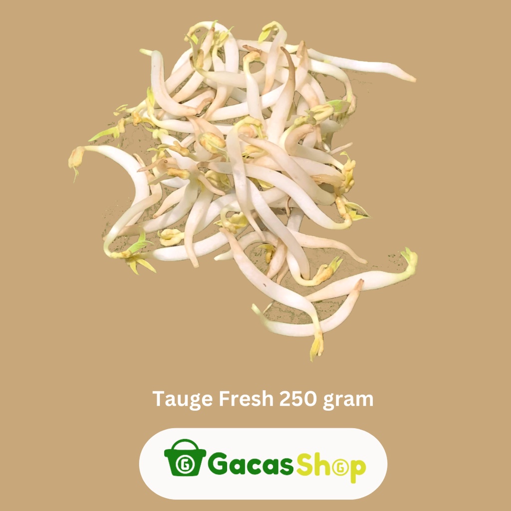 

Tauge Fresh 250 gram
