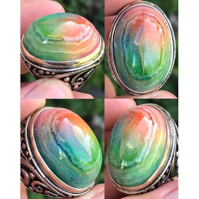 Rubah Pelangi Banyuwangi