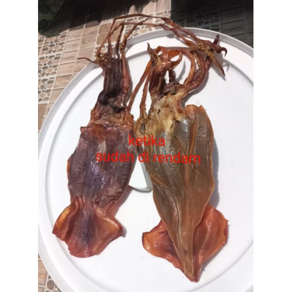 

Juhi kering tawar 100