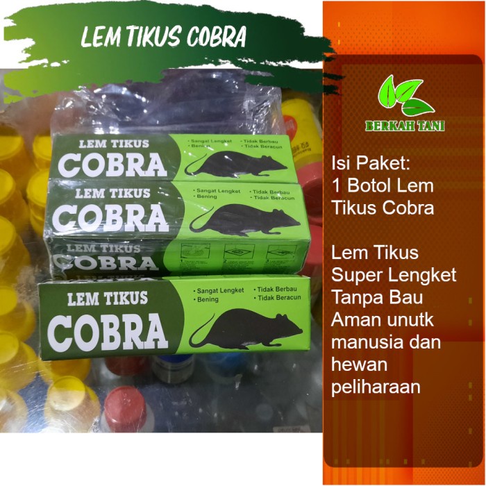 

yang dicari] Lem Tikus Cobra Super Lengket