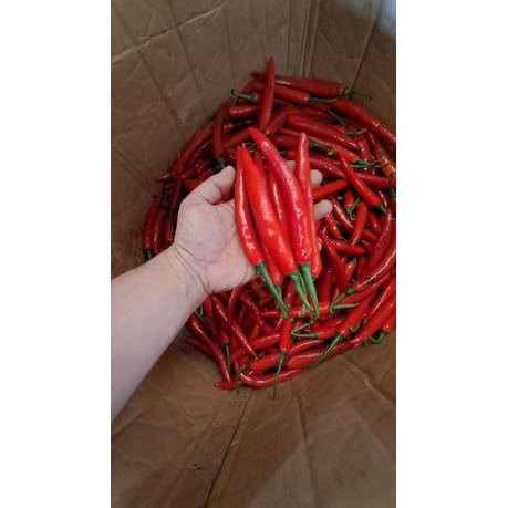 

Cabe Tw Merah 1kg