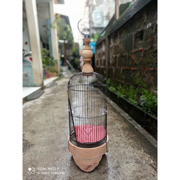 KANDANG HELOPED PLECI TEBOK KAYU JATI