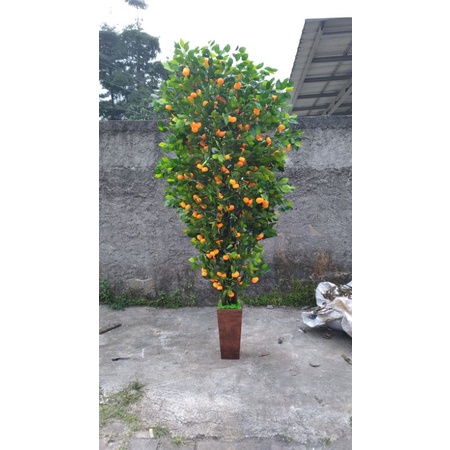 pohon jeruk plastik, peruk artificial ,pohon jeruk tinggi 200cm / 2 meter