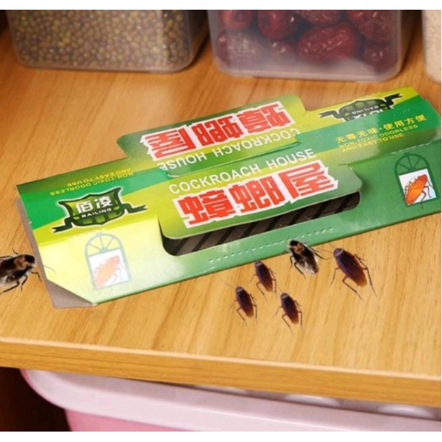 Rumah Jebakan Kecoa Rumah Perangkap Kecoa Lem Kecoa Cockroach Control Pest Mirip Hoy Hoy Pembasmi Pe