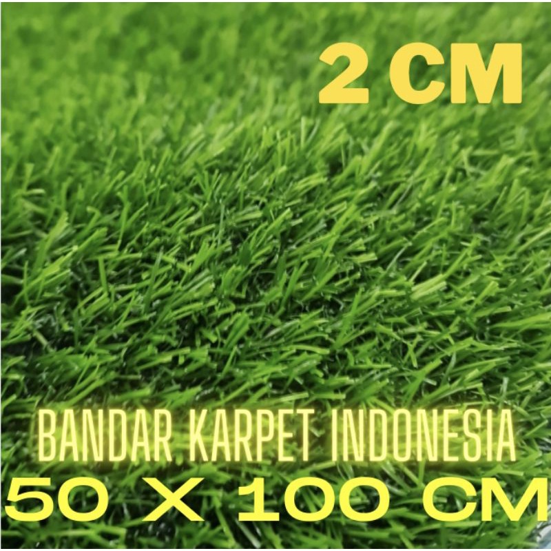 RUMPUT SINTETIS SWISS ukuran 50 x 100 CM