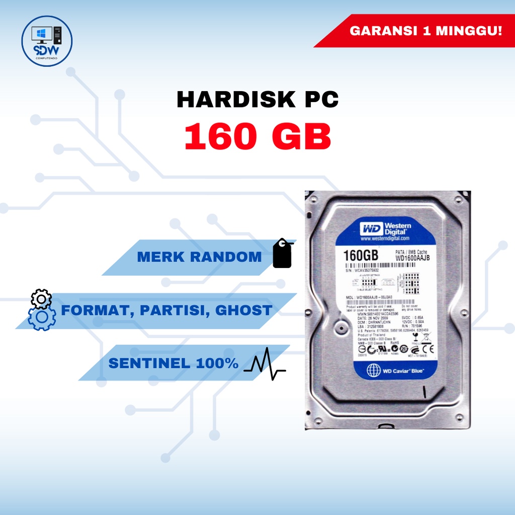 Hardisk PC 160 GB 100%