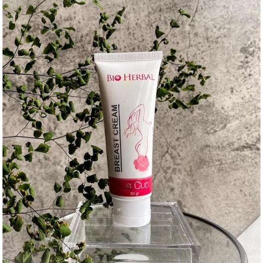 pengencang Payudara yg Kendur BPOM Ampuh