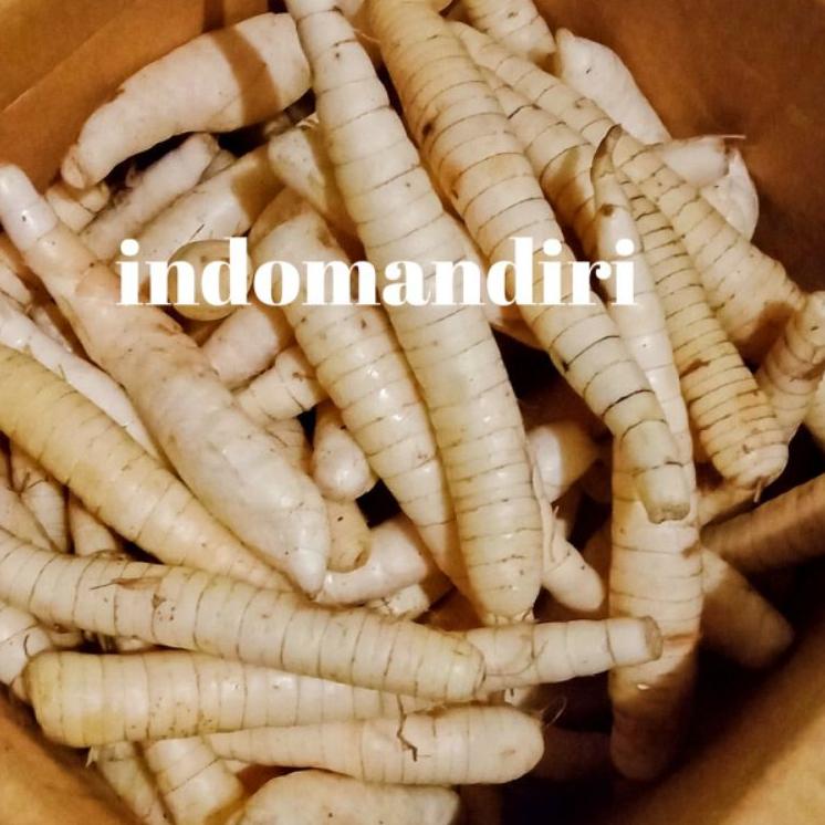 

[KODE 77] Ubi GARUT Segar / Umbi Garut 1kg / Ubi Patat / Ubi Sagu / Garut Fresh