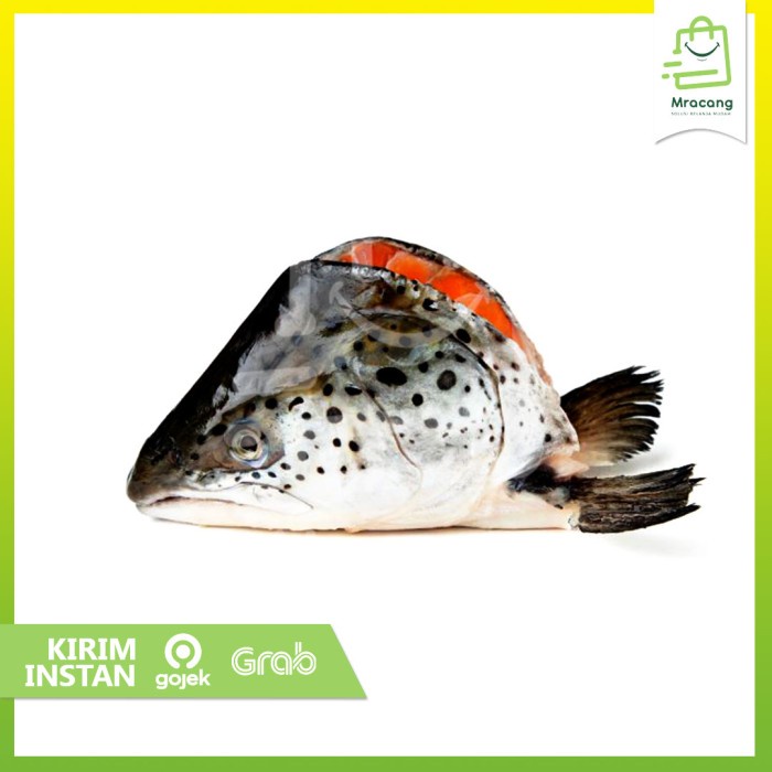 Kepala Salmon / Salmon Head