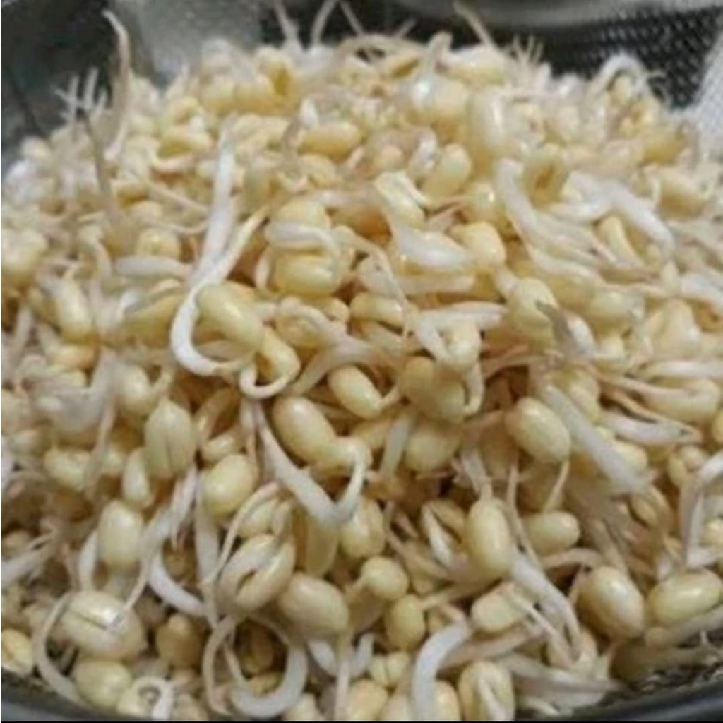 

TOGE RAWON 250 GRAM