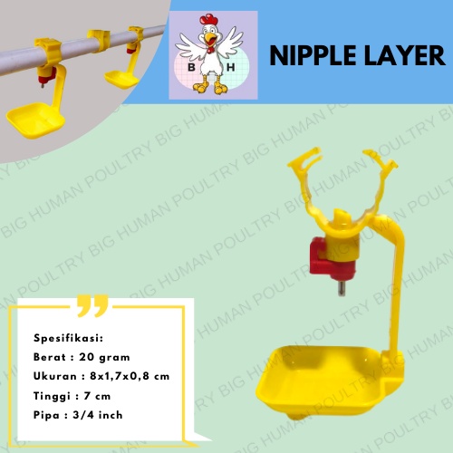 nipple layer / ayam layer / ayam petelur / tempat minum ayam otomatis
