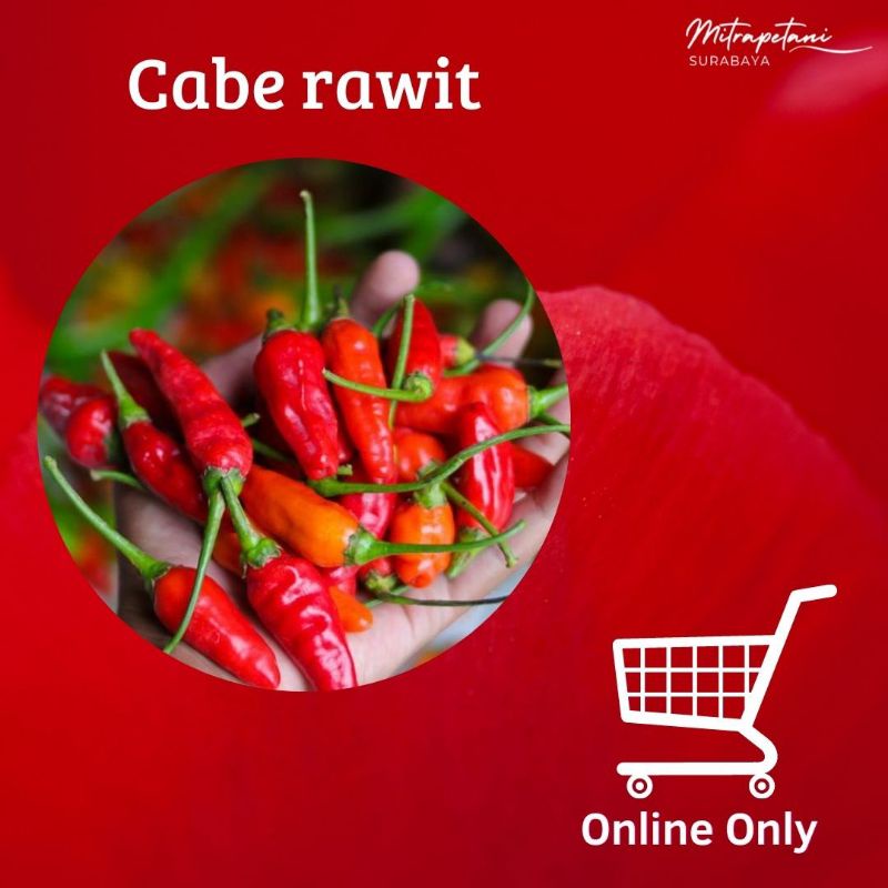 

Cabe rawit,cabe kecil,cabai rawit 250 gram, cabe segar