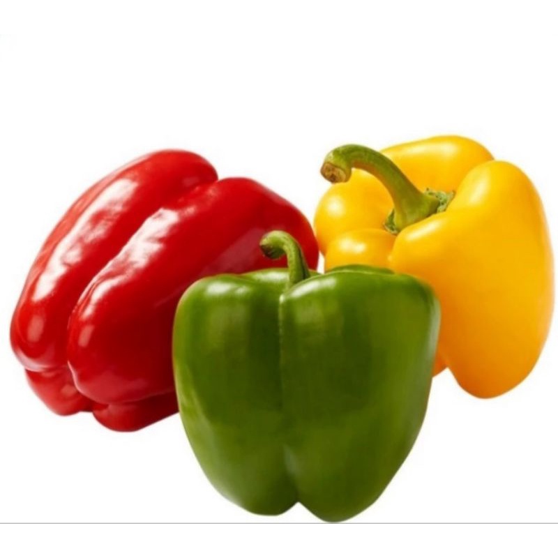

PAPRIKA PER BUAH