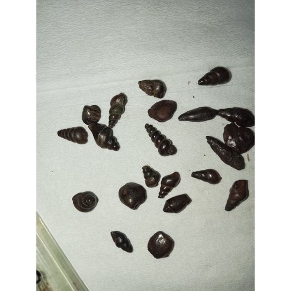 bbs kol buntet nempel magnit.untalan