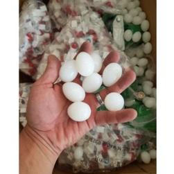 Alat Ternak Telur Palsu Merpati Ayam Kate Dan Aneka Burung,Bahan Solid Garansi Produk